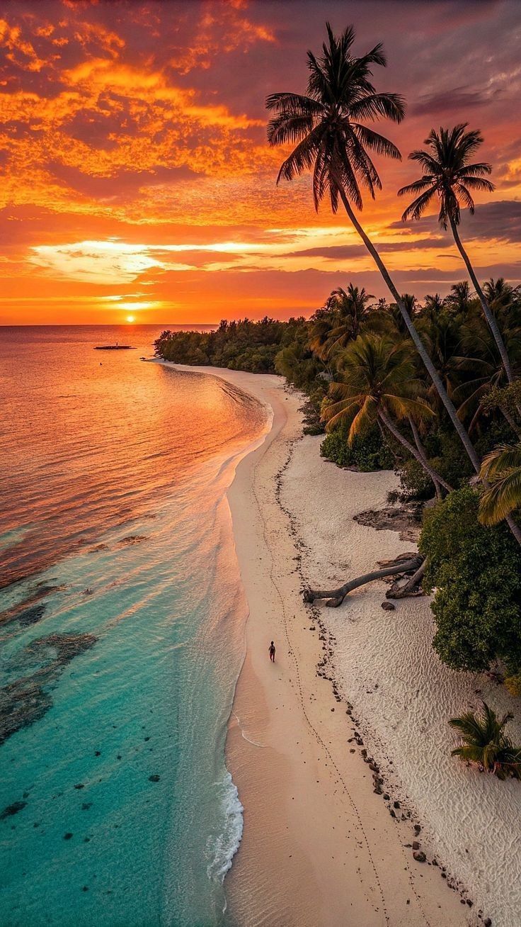 4b6991360fb990cd56b4a66045ea7310